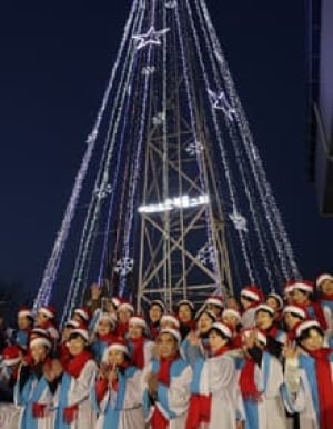 korea-tree-cp-9926139