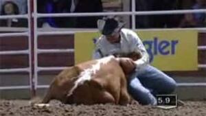 tp-cgy-steer-bell
