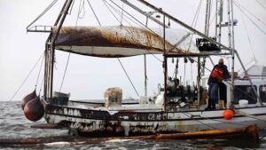 w-gulf-boat-cp-8801564