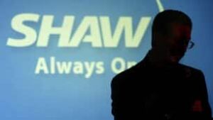 tp-shaw-cp-655100