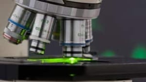 microscope-istock-306