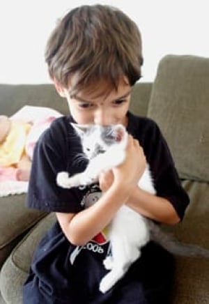 vet-kitten-saved220x320