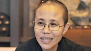 tp-liu-xia-cp-9552146