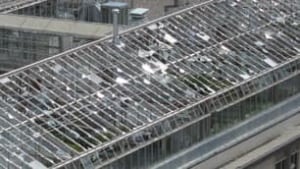 tp-cgy-hail-greenhouse