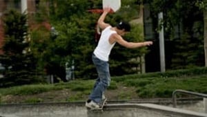 cgy-skateboard-stenroos