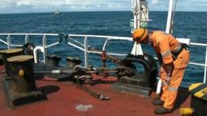 tp-ship-reef-cp-8442978