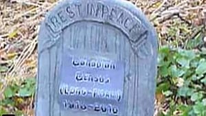 101020-long-form-census-youtube