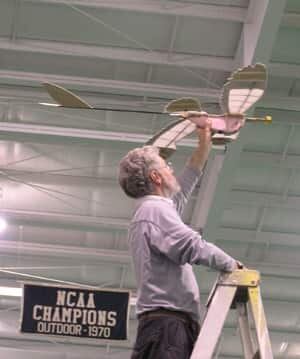microraptor-model