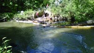 tp-don-river-fuel