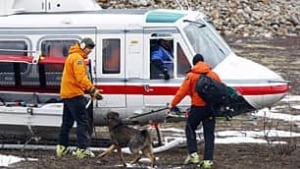 bc-100315-revelstoke-search