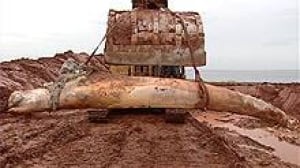 pe-whale-jaw