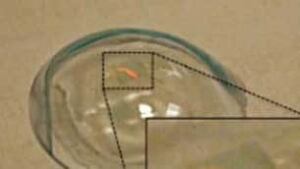 metaflex-contact-lens