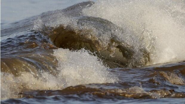 gulfspill-cp-8937437-584