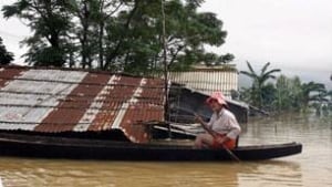 tp-vietnam-flood-cp-9599769