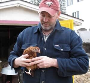 cgy-hughes-chicken