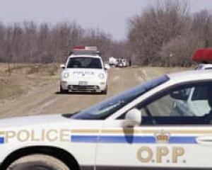 police-cars-cp-1182498