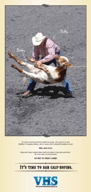 cgy-calf-roping-ad