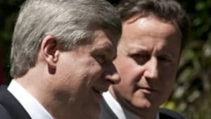 tp-harper-cameron-cp-879048