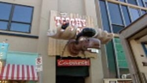 ns-toothy-moose