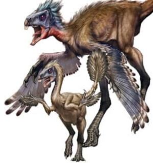 feather-dinosaur-baby