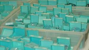 w-fake-jewelry-20101204