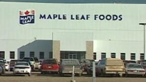 maple-leaf2