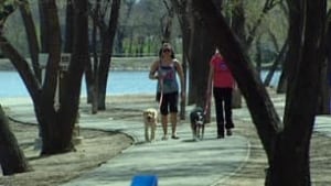 sk-park-walkers_1