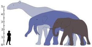 largest-land-mammals-science-350px