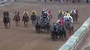 tp-cgy-stampede-chuckwagon