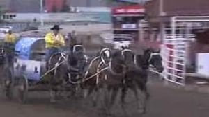 tp-cgy-stampede-sutherland