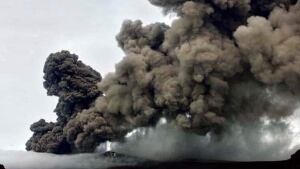 w-iceland-ash-cp-8606057