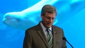 bc-100809-aquarium-harper