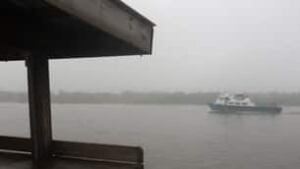 tp-oil-fog-cp-8598261