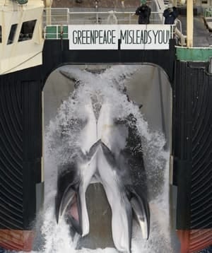 japans-whaling-cp-8759300