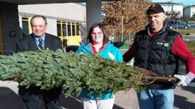 military families get free christmas trees nova scotia military families get free christmas trees nova scotia