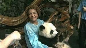 tp-jean-michaelle-panda-china