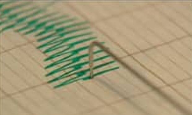 ns-polygraph-tp