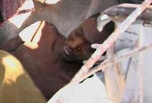 haiti-survivor-cp-7995406