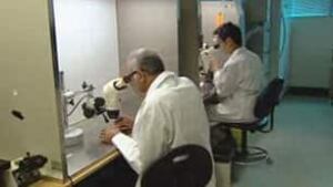 tp-cgy-researchers