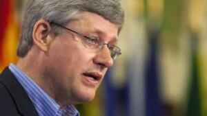 tp-harper-cp-9165360