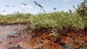 tp-oil-louisiana-cp-8724279