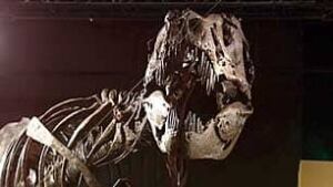 bc-090107-dinosaur-bones1
