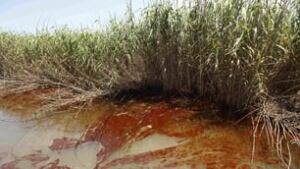 tp-oil-louisiana-cp-8699460