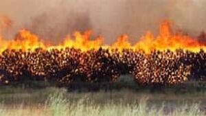bc-100712-tolko-fire