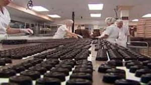 tp-cgy-bernard-callebaut-chocolate