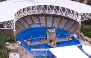 shamu_aquarium-cp-RTRQECC
