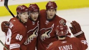 306-coyotes-091309