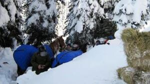 bc-081223-trapped-horses3-ugc-FULL