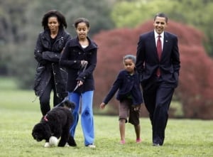 obama-dog-cp-w-6560986