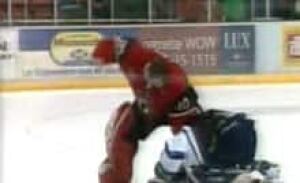 mtl-roy-fight-1006